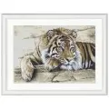Набор для вышивания Thea Gouverneur Тигр, 35х25 см (ND. TG.579)
