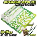 Большая муравьиная ферма Лето XXL 26*24см Базовый комплект