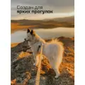 Поводок биотановый для мелких и средних пород KUSAKA 3м черный