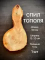 Спил Тополя 600х120-320х50мм 1шт