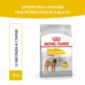 Сухой корм для собак средних пород Royal Canin Medium Dermacomfort при раздражении и зуде кожи, 10 кг