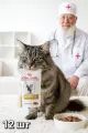 Влажный корм Royal Canin URINARY S/O, для кошек при МКБ, Кусочки в соусе 12 шт по 85гр