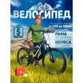 Горный велосипед скоростной, колёса 20, рама - 10, черно-серый