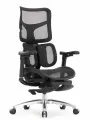 Кресло с подножкой SIHOO Doro S100 (разделенный поясничный упор, сетка, черный)