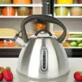 Чайник со свистком из нержавеющей стали со шкалой уровня воды Rashel 3л для газовой, электрической и индукционной плиты