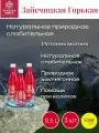 Вода минеральная лечебная Zajecicka Horka (Зайечицкая горькая) 0,5 л х 3шт