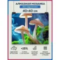 Алмазная мозаика 40x40 Грибы в лесу без подрамника