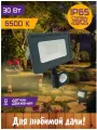 Прожектор светодиодный СДО 30Вт 6500К IP65 с датчиком серый Фарлайт