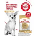 Сухой корм CANIN CHIHUAHUA ADULT для собак для породы чихуахуа, 1,5 кг