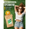 Семена газонной травы Green Lawn, травосмесь Дачная, 4 кг