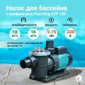 Насос с префильтром Pool King STP 100, 0.75 кВт, 220 В, производительность 10 куб. м/ч