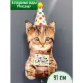Воздушный шар фольгированный котенок в колпачке, 91 см, МосШар