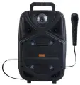 Портативная акустика MAGIC ACOUSTIC BK1002 BRAVO