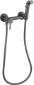 Гигиенический душ со смесителем FRUD R7503-9 оружейная сталь