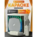 Караоке колонка с беспроводными микрофонами