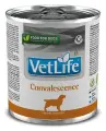 Корм влажный Farmina Vet Life Convalescence для собак всех пород в период восстановления, Фармина Вет Лайф лечебный рацион со вкусом курицы, 6 шт х 300г