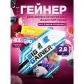 Гейнер BIGSNT BIG GAINER 2.8 кг. для набора мышечной массы и веса, высокобелковый коктейль