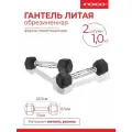 Гантели литые обрезиненные INDIGO, гексагональные, 2шт по 1кг