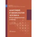 Анатомия и физиология человека: иллюстрированный учебник, Гайворонский А. И, Гайворонский И. В, Николенко В. Н, гэотар-медиа