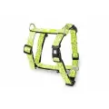 MAX&MOLLY, Н-образная шлейка, XS, Киви