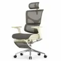 Кресло EXPERT 2 SAIL RSAM 01-G (сидение MAX с подножкой, подлокотниками 6D(360), сетка сер/каркас светлый)