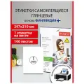 Этикетки / наклейки самоклеящиеся Глянцевая 210х297мм, 1 этикетка, белая, 80г/м2, 100 листов, Tanex, 114547