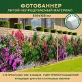 Фотобаннер Мечта для стен и сплошных заборов 600x158 см, Южный сад у каменной стены / Фотофасад