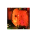 AUDIO CD Alice In Chains - Jar Of Flies. 1 CD
