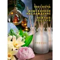 Ароматизатор для дома, Диффузор ароматический с палочками Breesal Aromа Sphere 3 шт. 1001 ночь, Наслаждение, Поцелуй