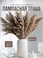 Натуральная Пампасная трава 10шт, Сухоцветы для декора ARANTA, Букет сухоцветов 60см, 150гр.