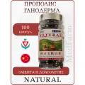 Витамины Прополис и Ганодерма, Propolis Ganoderma Natural, 100 капсул