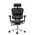 Кресло компьютерное FALTO Ergohuman 2 Luxury (SmartWork, алюминий, наклон вперед, сетка, черный)