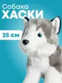 Собака Хаски 25 см