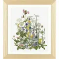 Набор для вышивания Дикие цветы сада, канва Aida 18 ct 45 х 36 см THEA GOUVERNEUR 583A