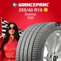 Летняя шина Delinte DS2 255/40 R19 100W XL