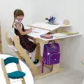 Парта для школьника, растущая парта, растущий стул, с подушкой, комплект, окрашен маслом и акрилом