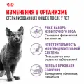 ROYAL CANIN STERILISED 7+ для пожилых кастрированных котов и стерилизованных кошек старше 7 лет 0,4 кг х 4 шт