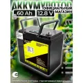 Аккумулятор LiFePO4 LiitoKala 12.8V 60Ah со встроенной платой BMS