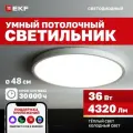 Умный потолочный светодиодный светильник EKF Connect, 36W, 48 см с Wi-Fi, Яндекс Алисой, Марусей, Салютом