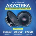 Акустика УРАЛ ПАТРИОТ АС-ПТ300МБ ГРОМ, 12, 350/700 Вт, 1 шт.