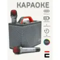 Караоке система с двумя микрофонами