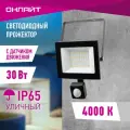 Прожектор светодиодный ОНЛАЙТ OFL-02-30-4K-BL-IP65-LED-SNRA, 30 Вт, свет: холодный белый