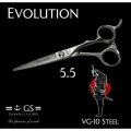 Ножницы для парикмахеров 6.0 VG-10
