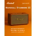 Портативная акустика Marshall Stanmore III, 80 Вт, Brown, коричневый