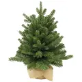 Настольная елка в мешочке Шервуд Премиум 60 см, литая + ПВХ, Triumph Tree, 72065