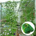 Сетка для огурцов и вьющихся растений 2х5 м