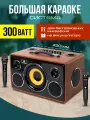 Караоке система NOIR-audio MAX-300 с двумя беспроводными микрофонами и колонкой