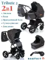 Коляска универсальная 2в1 Babyhit Tribute 2, цвет - черный