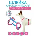 Шлейка прогулочная анатомическая для мелких пород собак и кошек, CORADOG Quick click, размер XXS, цвет голубой, ярко розовый