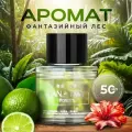 Сменный блок для ароматизатора в машину CAR FRAGRANCE(фантазийный лес), 50 мл